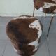 Chaise + pouf moumoute orange vache brun blanc vintage