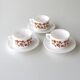 3 coffee cups and under cups arcopal - vintage orange flower model