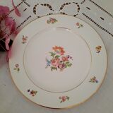 6 old flat plates mismatched