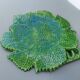 Plat feuille vallauris