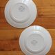 2 Louis XVI style ironstone dessert plates by U&C Sarreguemines