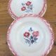 Sarreguemines 5 plates
