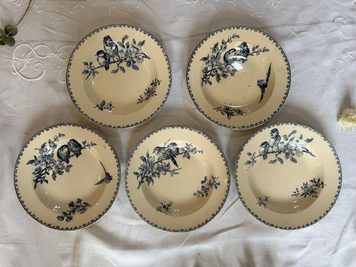 Lot of Favourite plates Sarreguemines