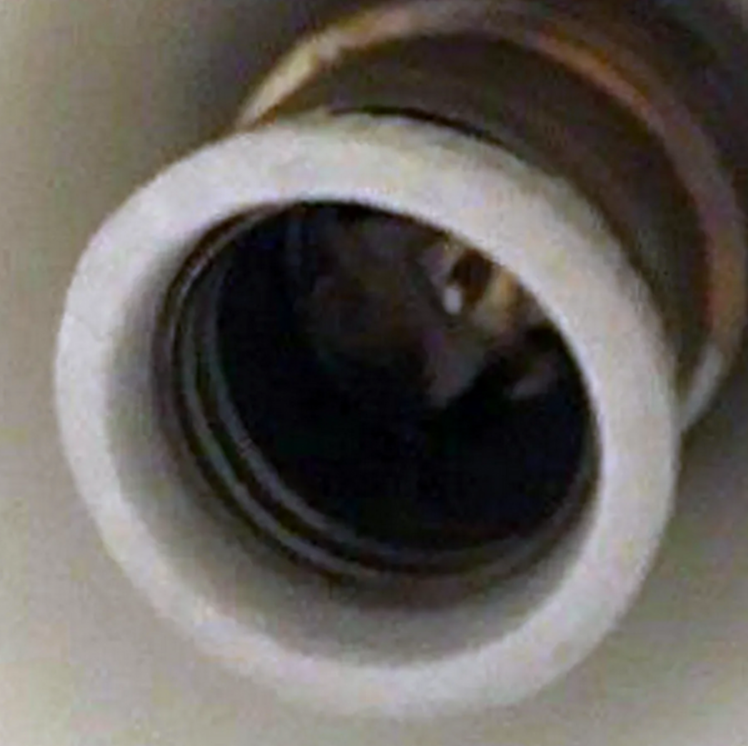 Moonlight Green Duck Wall Lamp