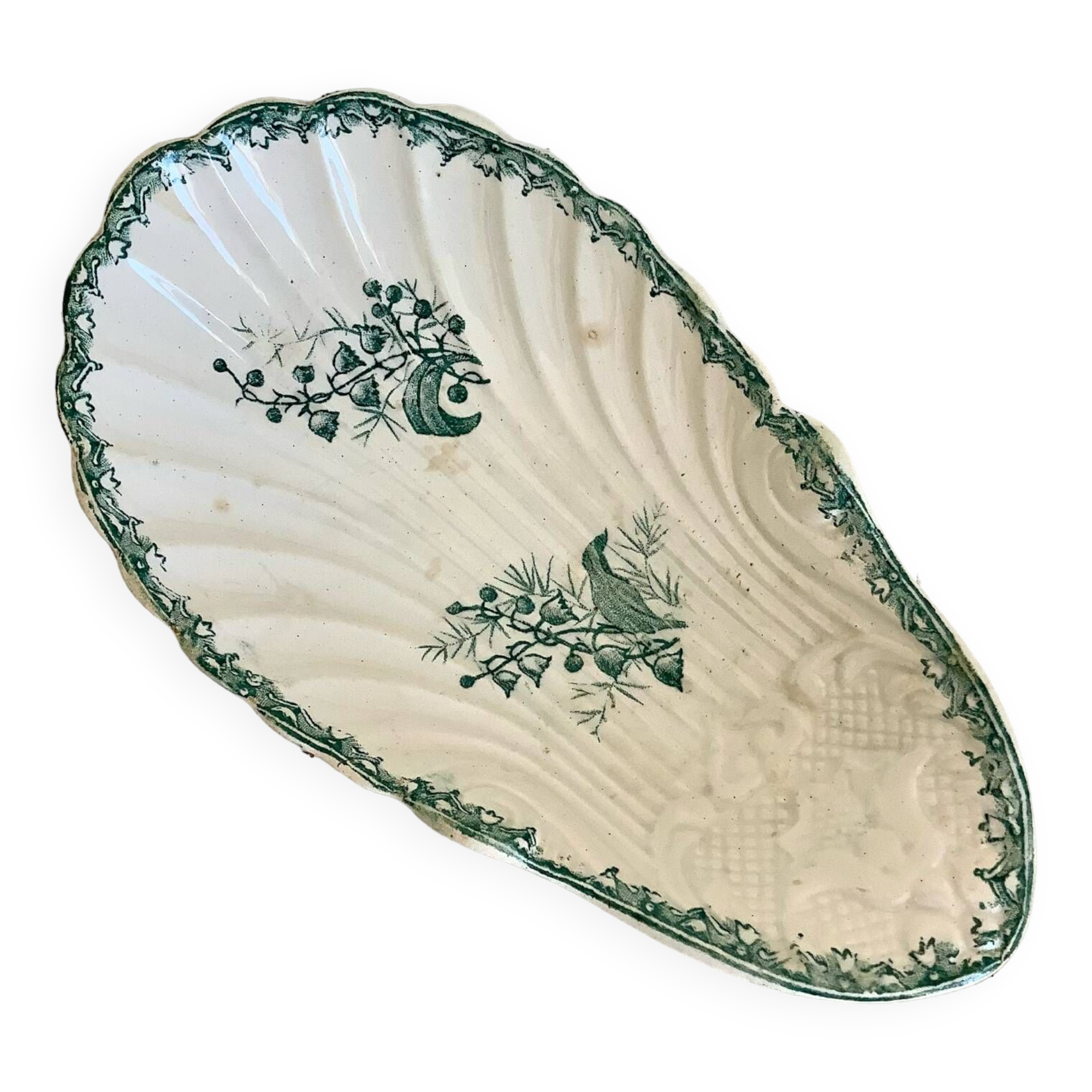 Delight the amandinoise shell