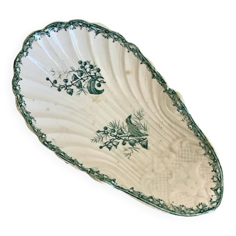 Delight the amandinoise shell