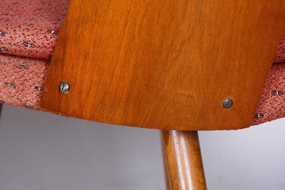 Set of Mid-Century Czech Chairs by Antonin Suman, 1950s