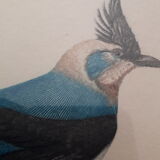 Pair of animal lithographs (birds)