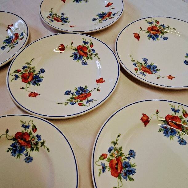 6 flat plates from Salins les Bains, "Poppies" pattern, in very good condition