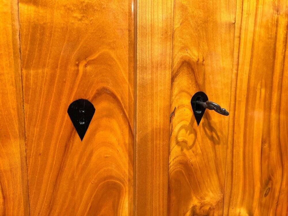 Large Biedermeier Armoire in Cherry, South Germany, 1820s