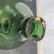 Dame-jeanne soufflée verte 25l