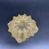 Empty pocket, Murano, Archimedes Seguso, yellow, gold, bubbled, stylized flower-forming, blown glass, Italy