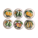 6 dessert plates fruit earthenware from Gien Cordon Rouge