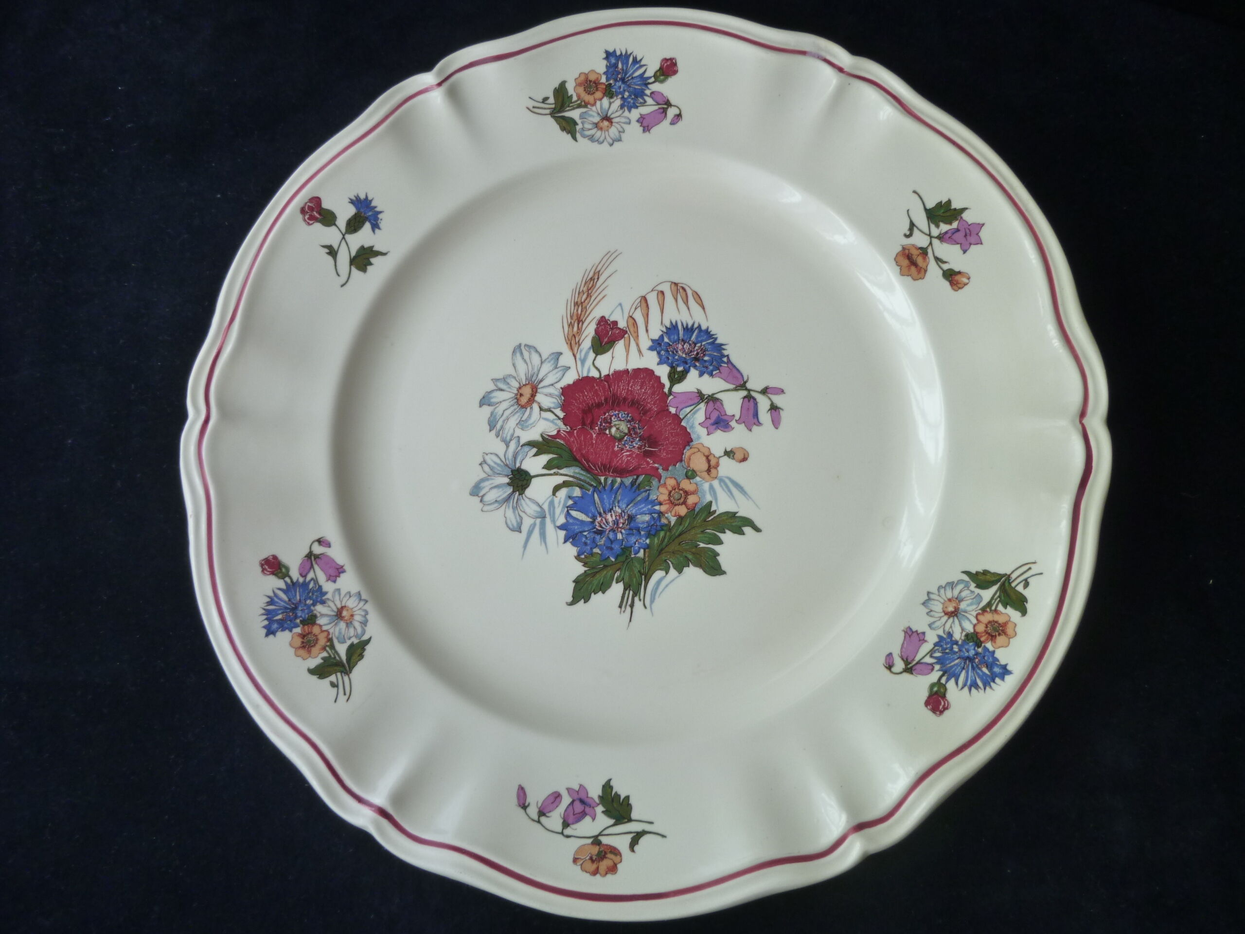 Large dish in Faïence Digoin Sarreguemines Model Agreste