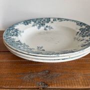 3 assiettes creuses Terre de Fer