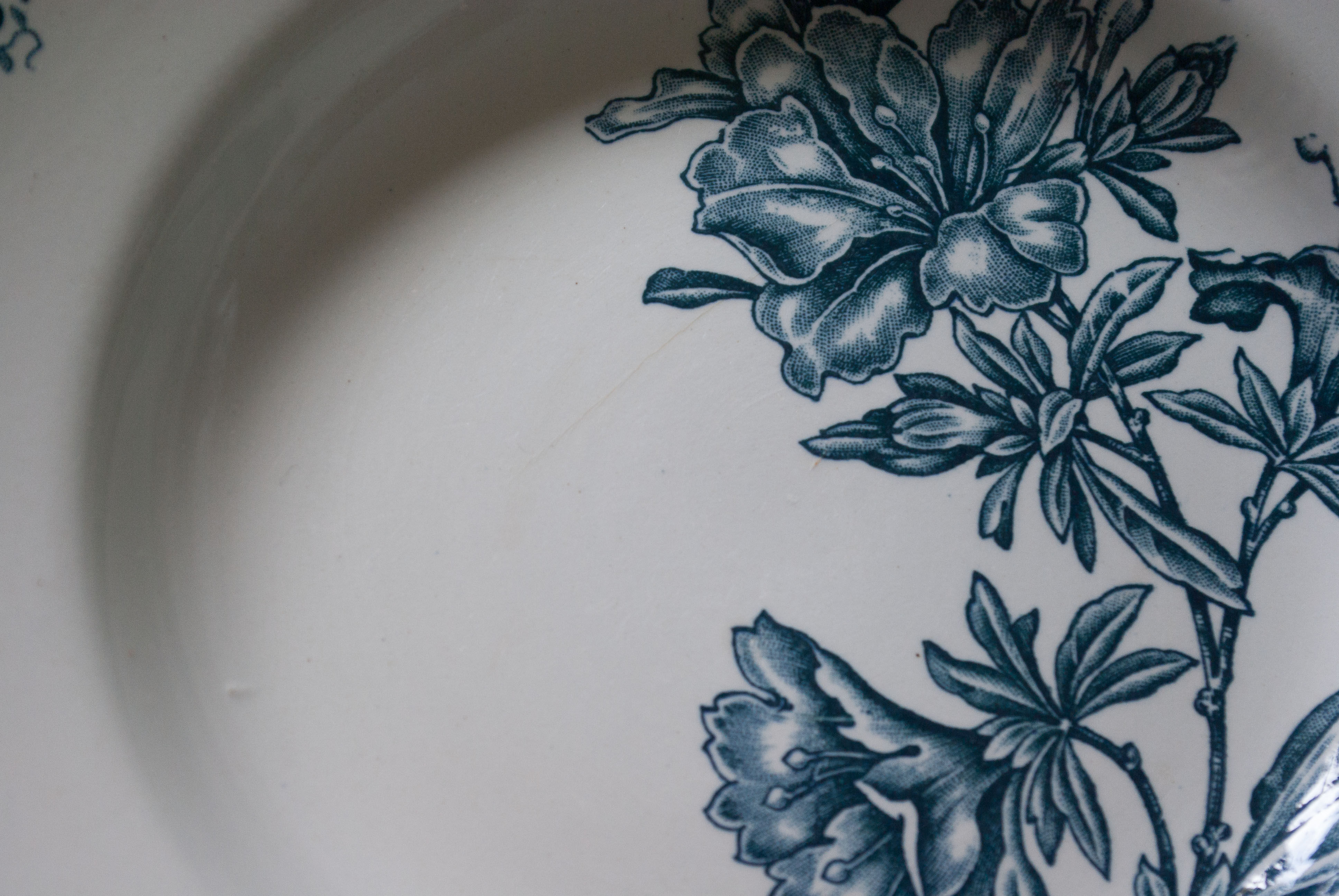 Old plates "Flora" iron Earth