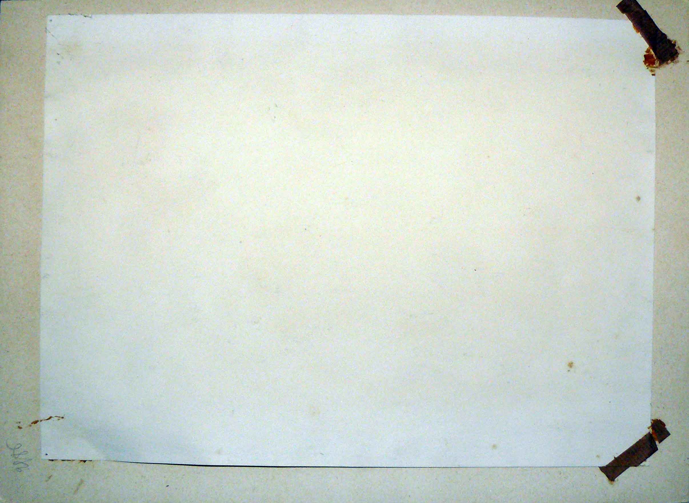 Painting Marine: sailboat, rock and seagulls, signed Padeo