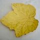 Trinket plate plane tree leaf