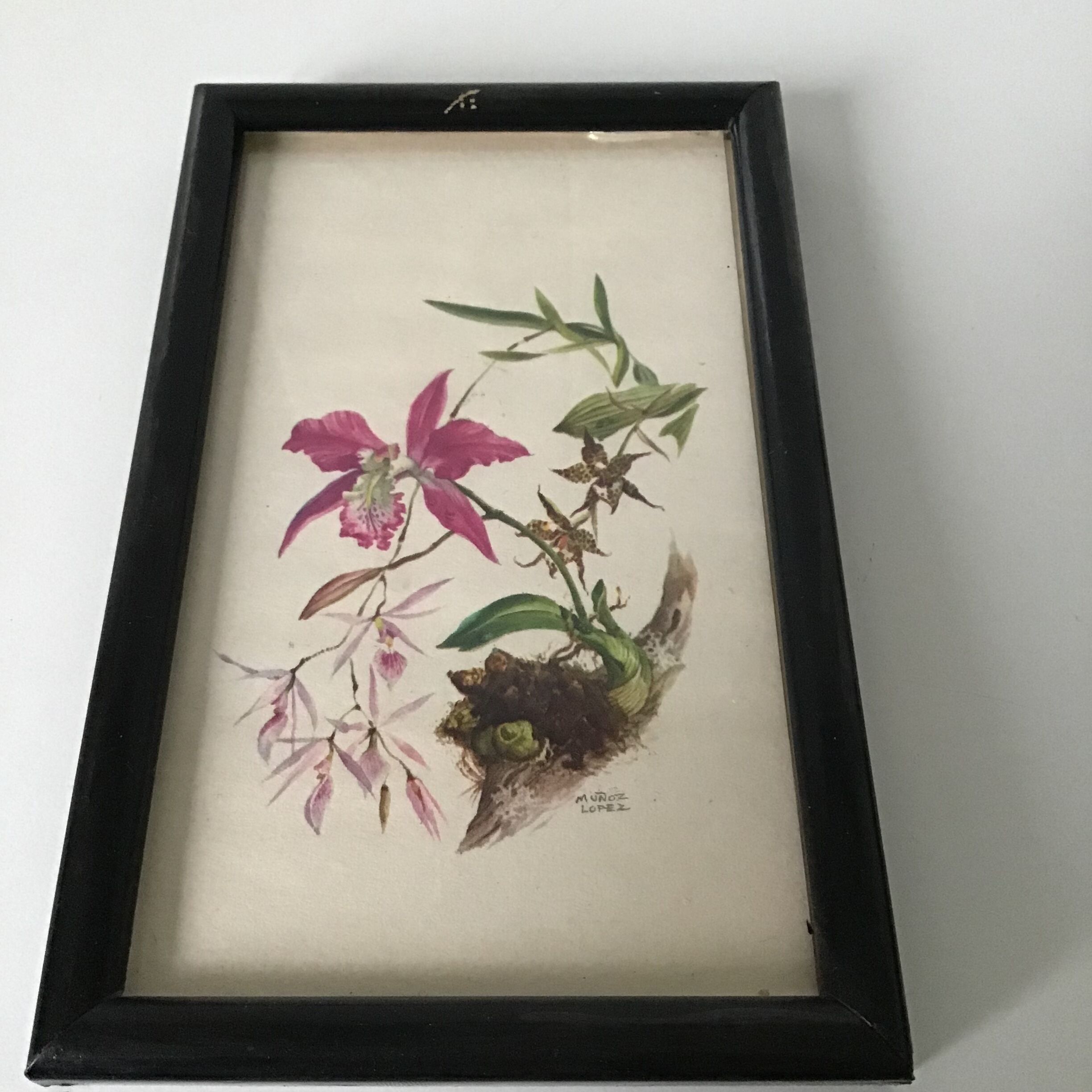 Series of small black wooden frames with an antique engraving signed with fleus. Champetres