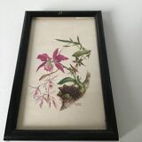 Series of small black wooden frames with an antique engraving signed with fleus. Champetres
