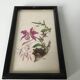 Series of small black wooden frames with an antique engraving signed with fleus. Champetres