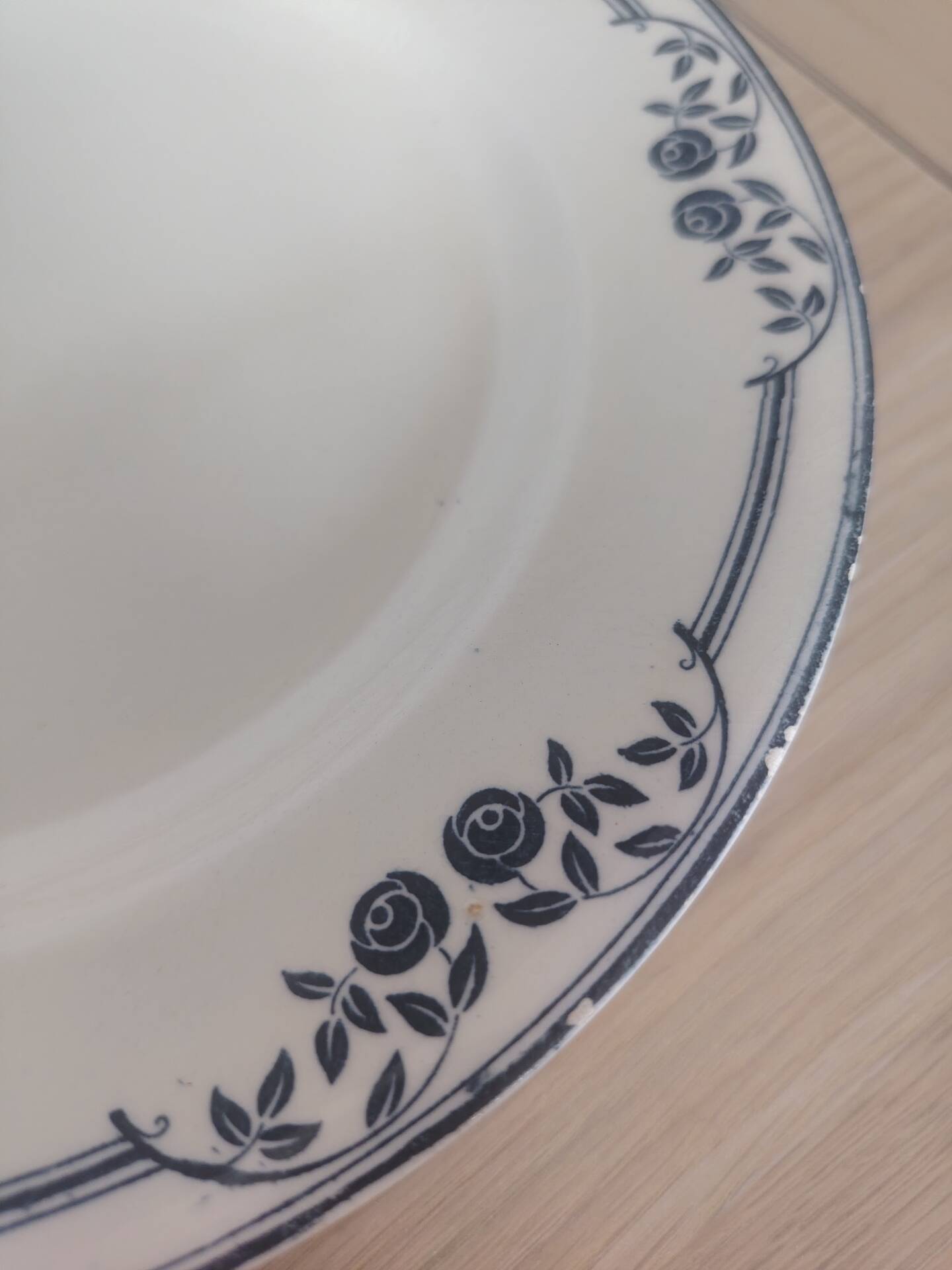 Flat plates ironstone Saussure