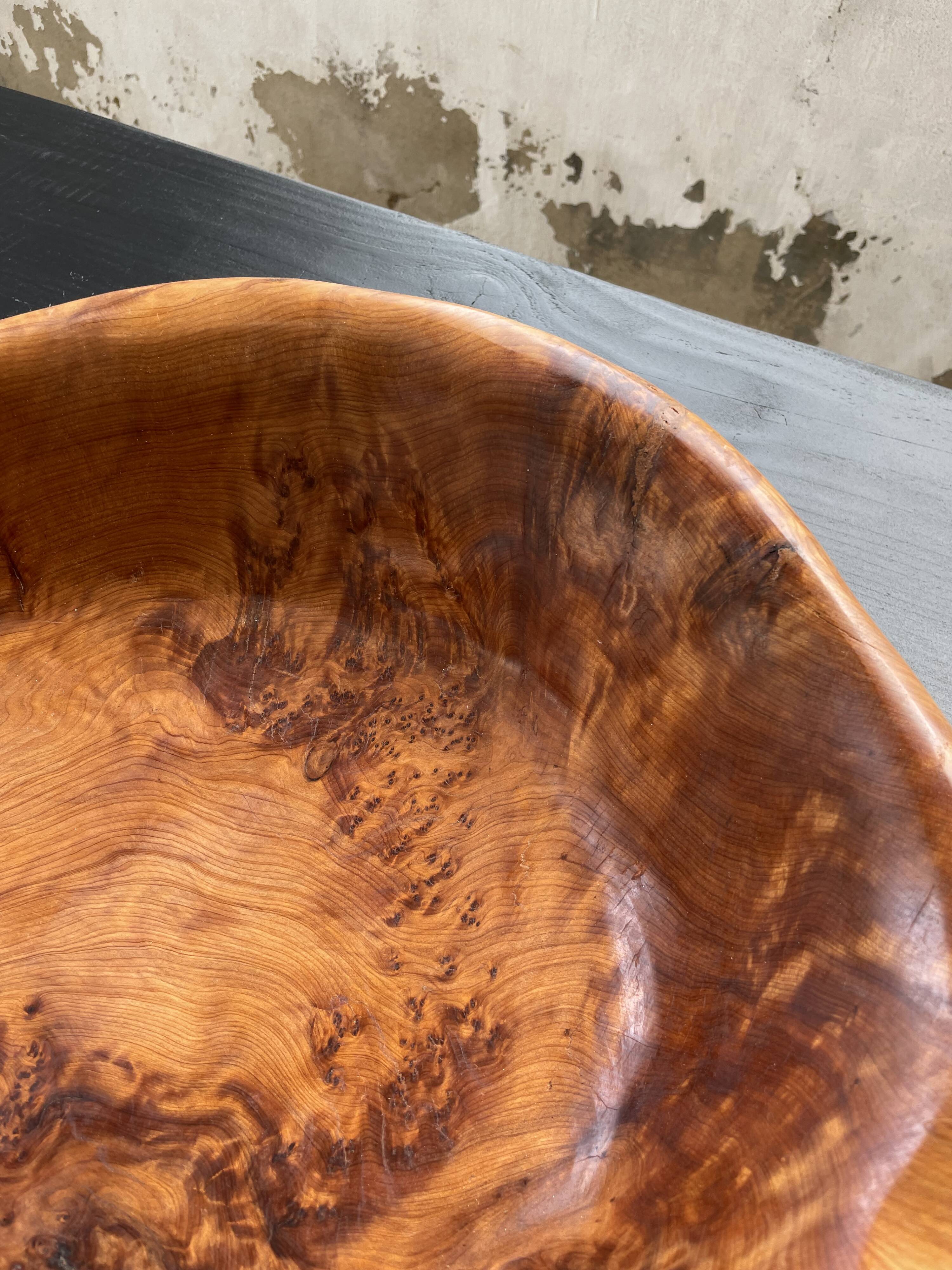 XL thuja root wooden dish