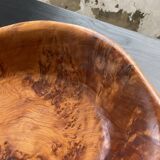 XL thuja root wooden dish