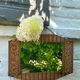 Wooden mirror 30s