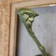 Patère Art Nouveau de Hector Guimard