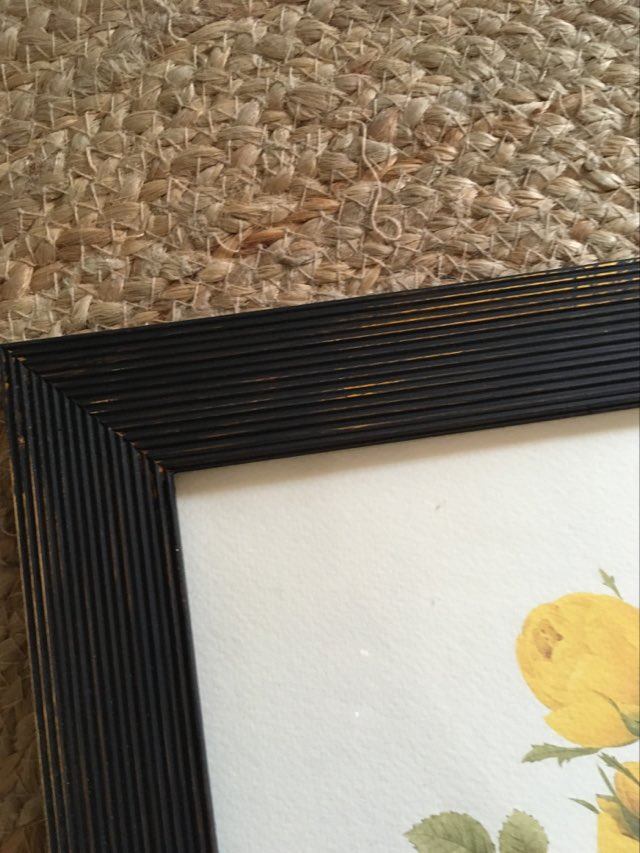 Redoute"Rosa sulfurea botanical plank