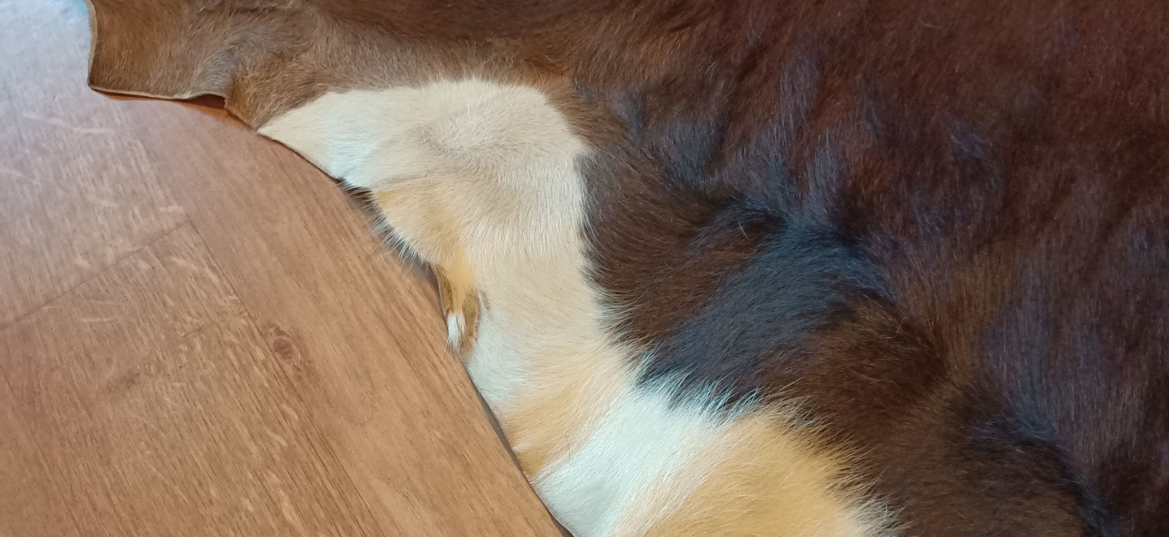 Vintage cow skin carpet, 140 cm x146 cm