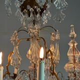 Bronze cage chandelier adorned with molded glass pendants in the shape of peacock feathers, circa 1800