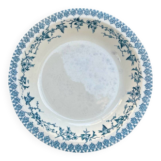 Hollow dish in iron earth