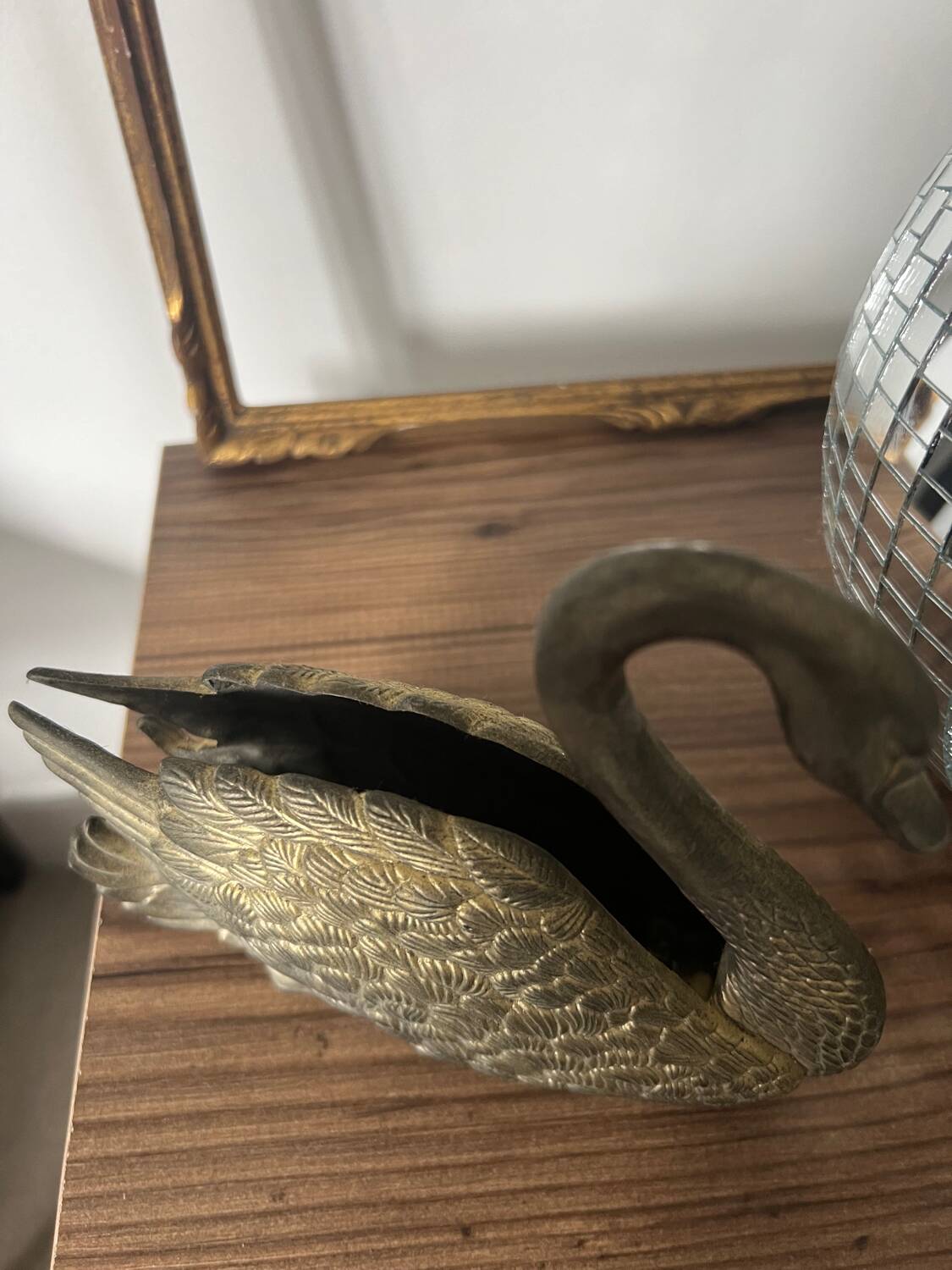 Swan