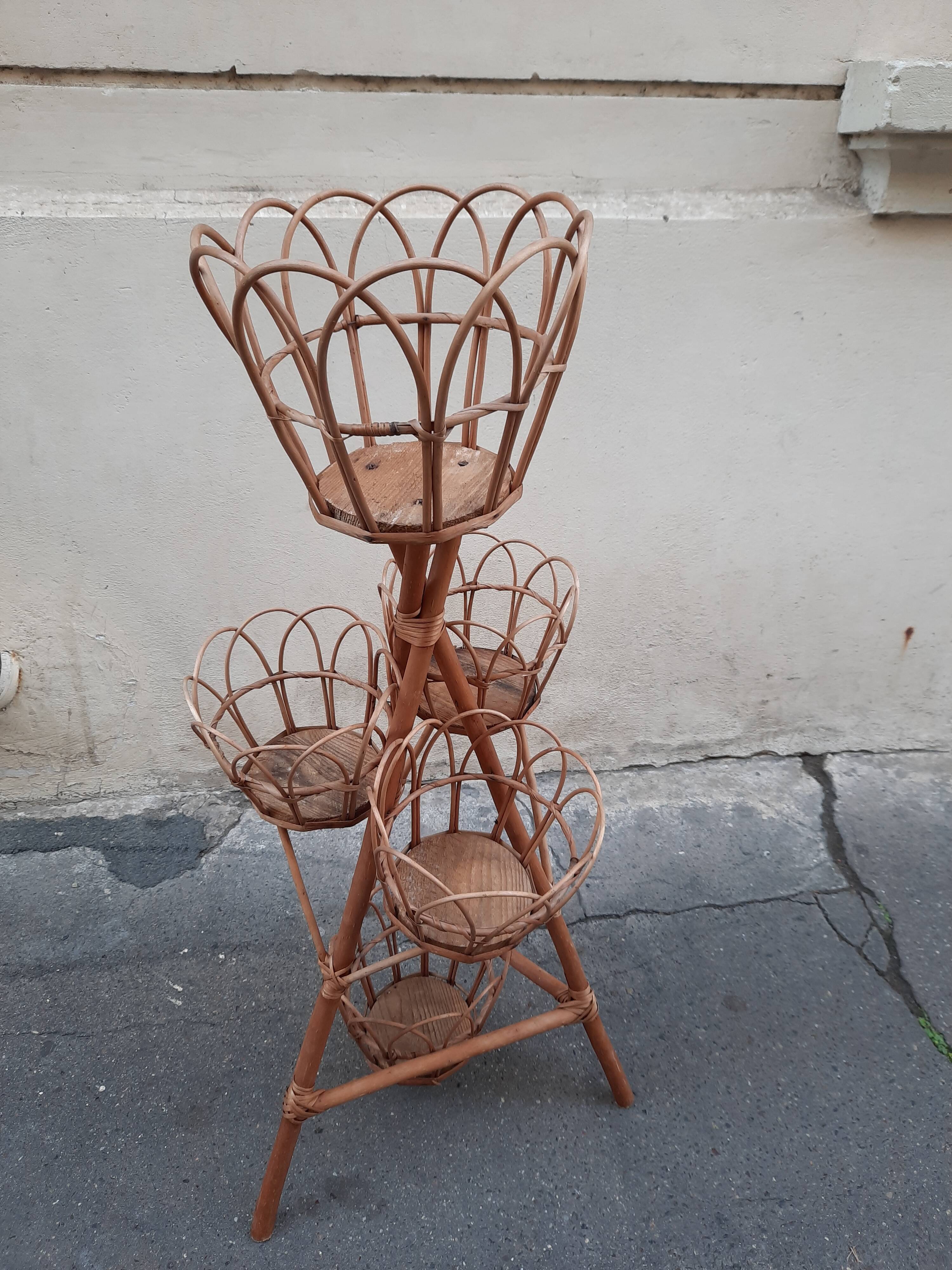 Rattan plant holder