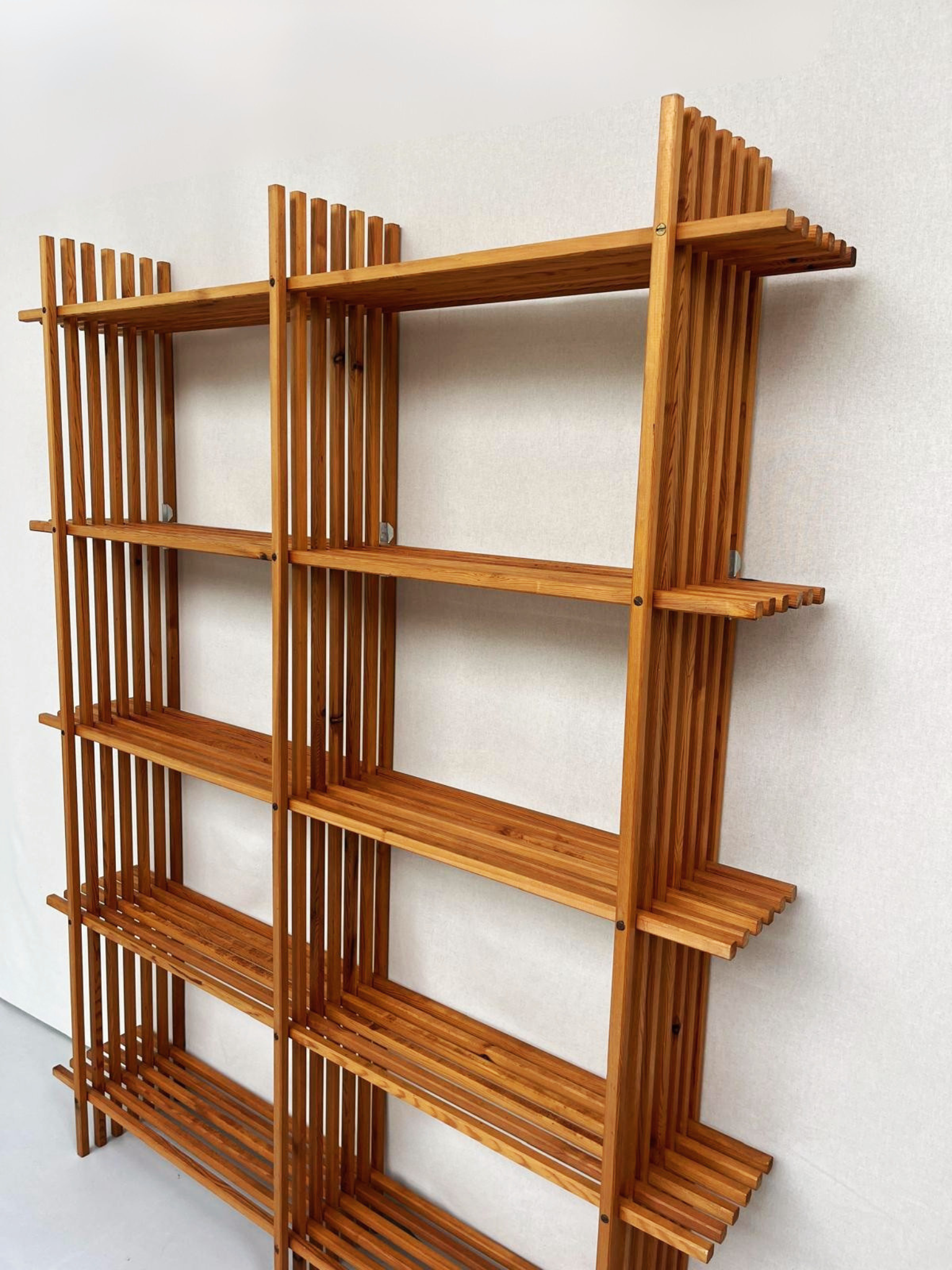 Modernist library by Thorvald Lissau.