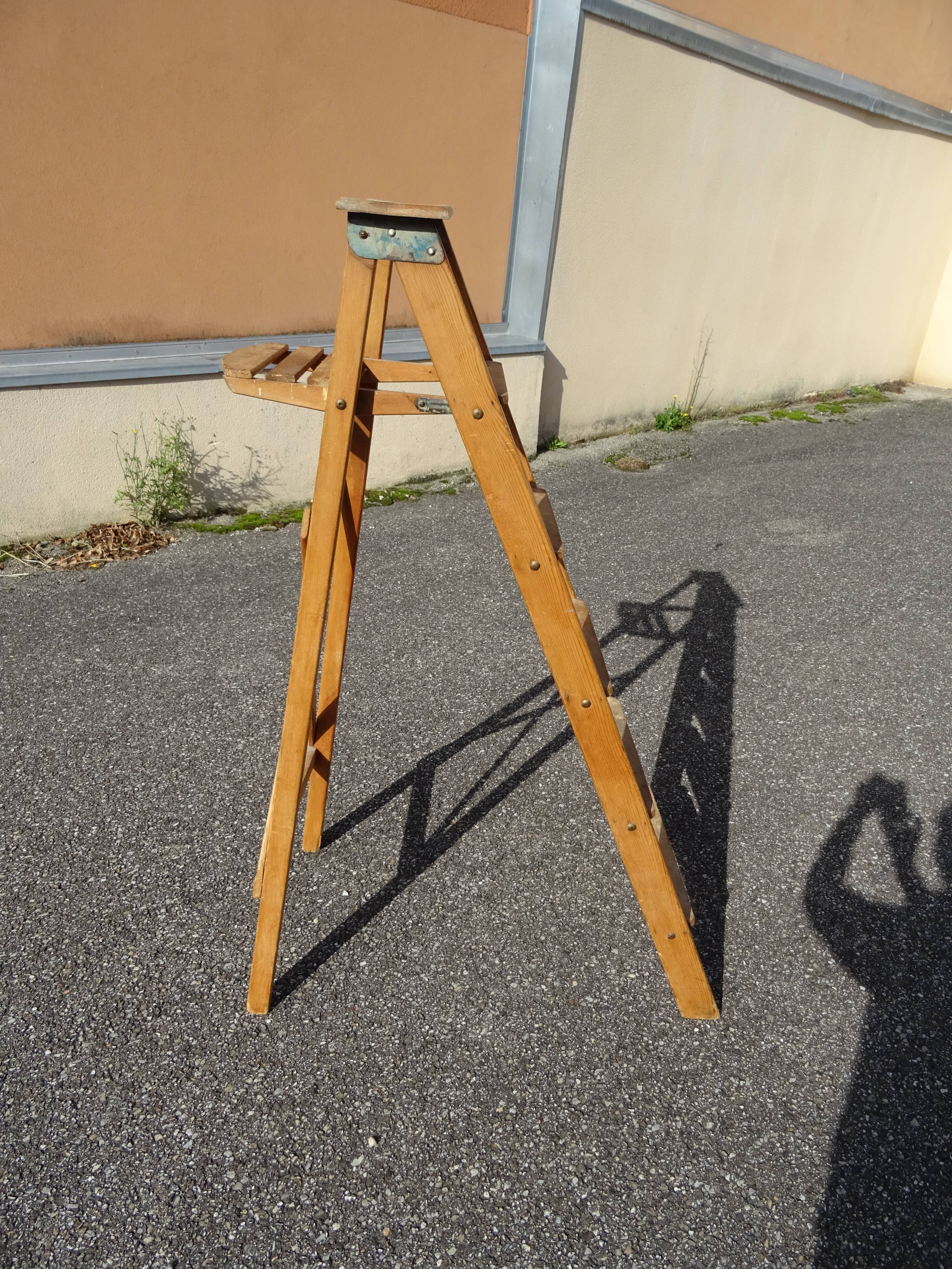 Montana France painter's stepladder
