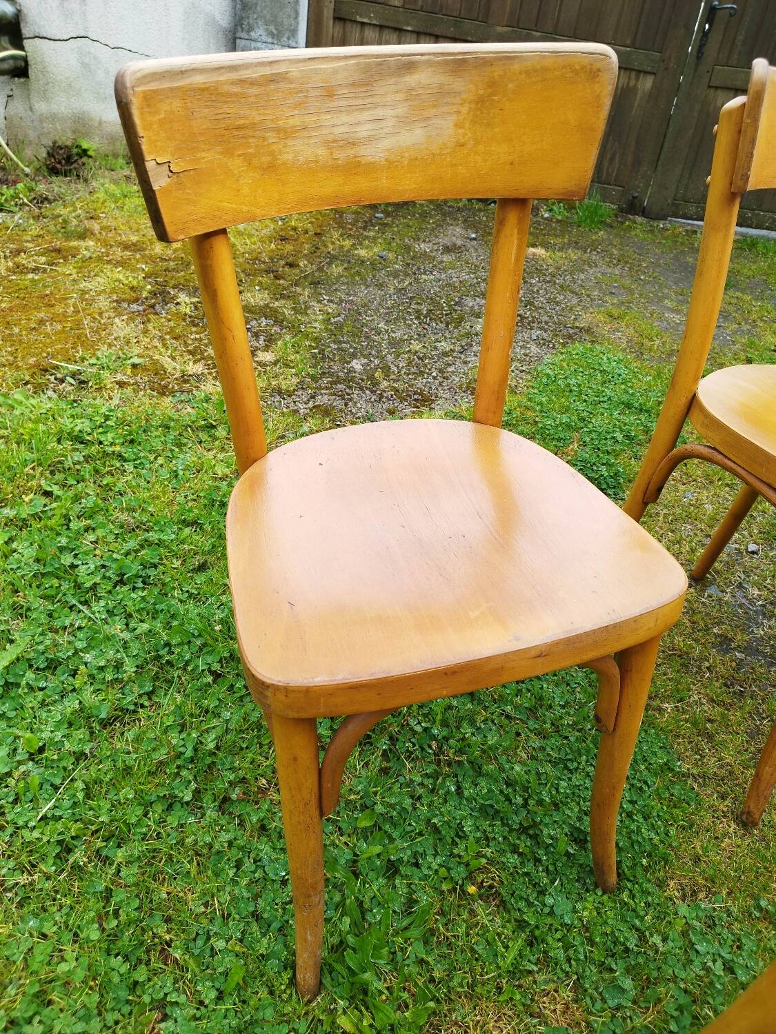 5 Baumann style bentwood bistro chairs