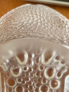 Crapaud gregoire Lalique