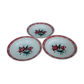 Set of 3 hollow plates Saint Amandinoise