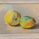 Oil painting still life with two lemons 1960 signed