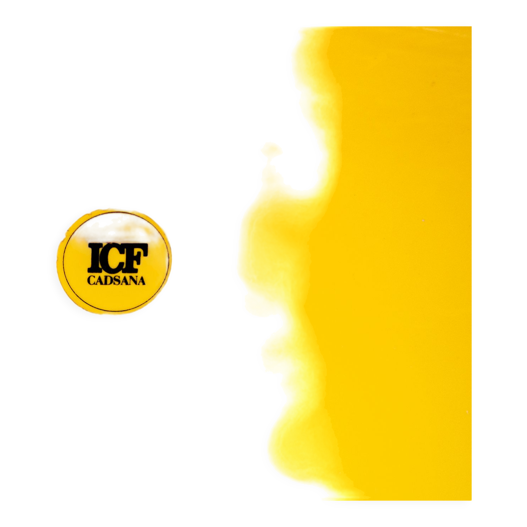 Cadsana office chairs by Pier Luigi Gianfranchi for ICF, Italy, 1970s