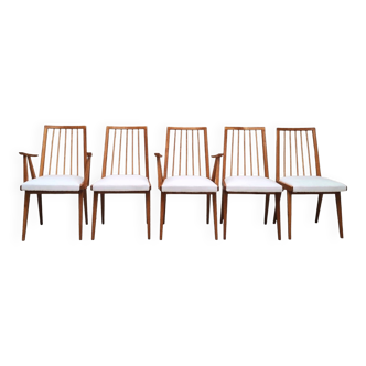 Lot de 5 chaises, 1960