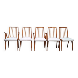 5 chairs, 1960