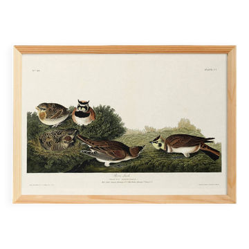 Poster about The Lark, based on an old engraving from 1827.
