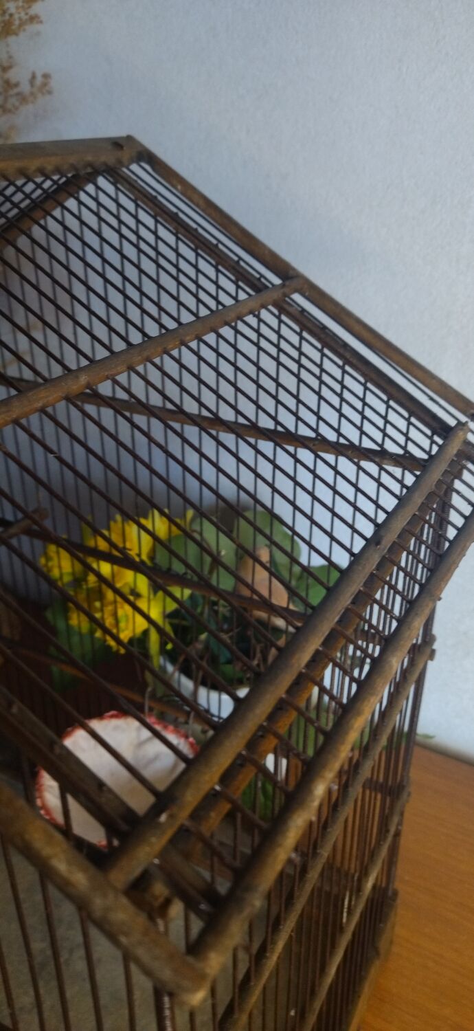 Cage ancienne