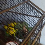 Old cage