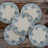Assiettes terre de fer bleu
