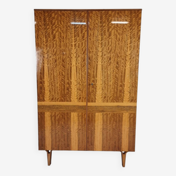 Vintage Wardrobe in Ash by Francisek Mezulanik for Novy Home, 1973